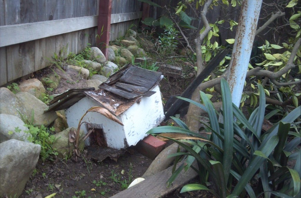 Bird House full of bees hit by an orange branch and knocked down